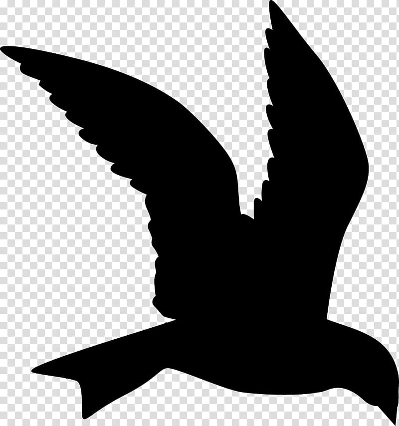 Bird Silhouette, Gulls, Mouette, Drawing, Large Whiteheaded Gulls, Common Raven, Bird Of Prey, Pelipper transparent background PNG clipart