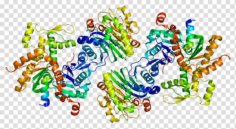 Wasf2 Text, Protein, Actin, Arp23 Complex, Gene, Cell, Human, Gene Expression transparent background PNG clipart