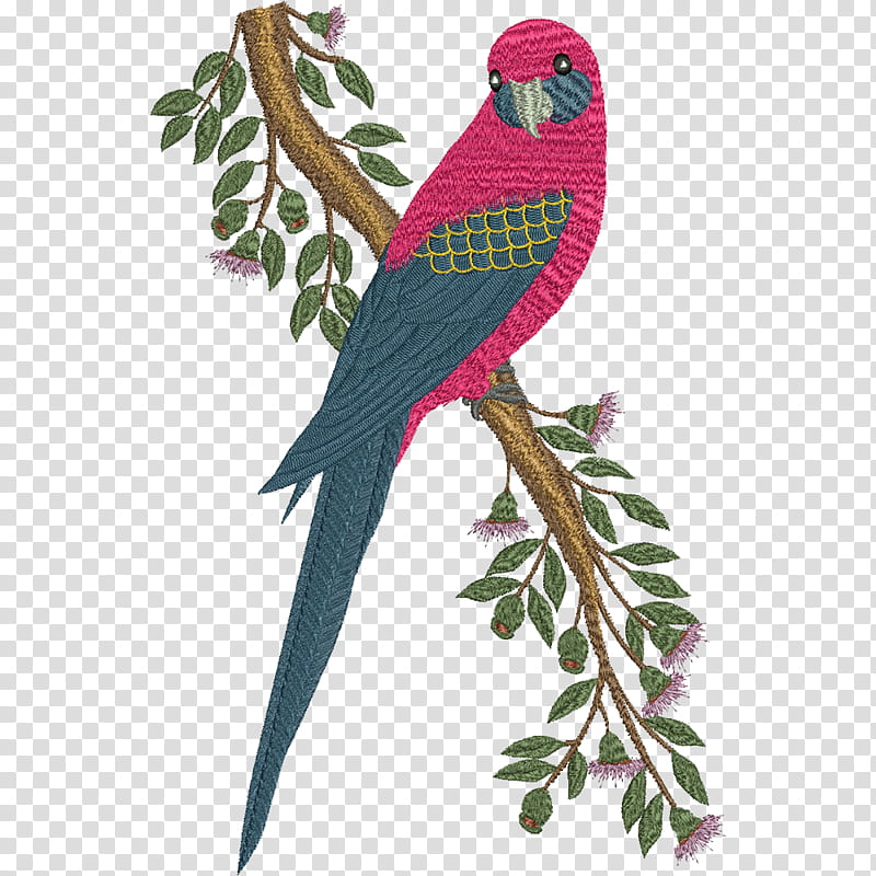 Background Floral, Machine Embroidery, Parrot, Macaw, Bird, Australia, Beak, Feather transparent background PNG clipart