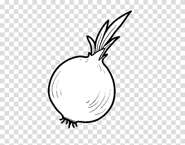 Press White Onion Vegetable, Microphone, Journalist, Doodle PNG Transparent  Image and Clipart for Free Download