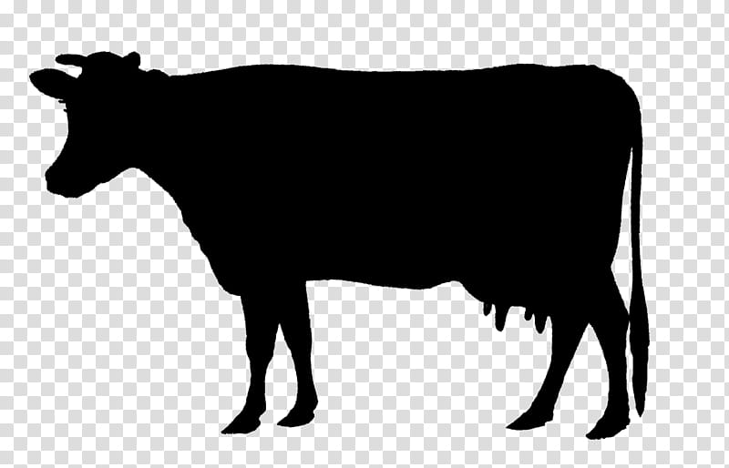 Family Silhouette, Holstein Friesian Cattle, Animal Silhouettes, Calf, Beef Cattle, Live, Dairy Cattle, Dairy Farming transparent background PNG clipart