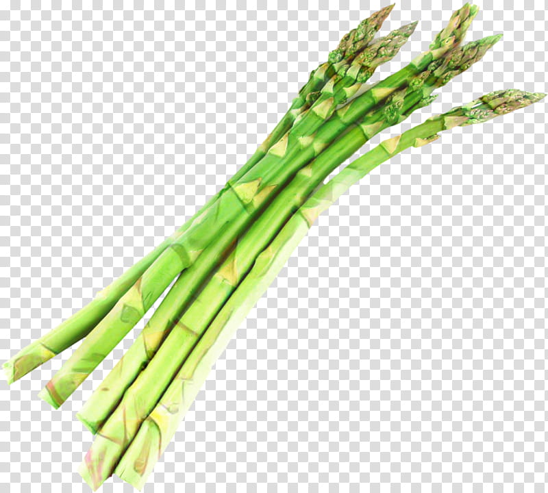 Onion, Asparagus, Cream Of Asparagus Soup, Vegetarian Cuisine, Vegetable, Risotto, Food, Bunch Of Asparagus transparent background PNG clipart