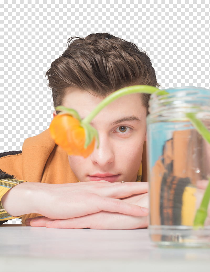 SHAWN MENDES,,SHAWN MENDES () transparent background PNG clipart