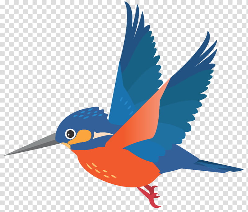 Bird Wing, Beak, Macaw, Feather, Microsoft Azure, Bluebird Systems Inc, Bluebirds, Hummingbird transparent background PNG clipart