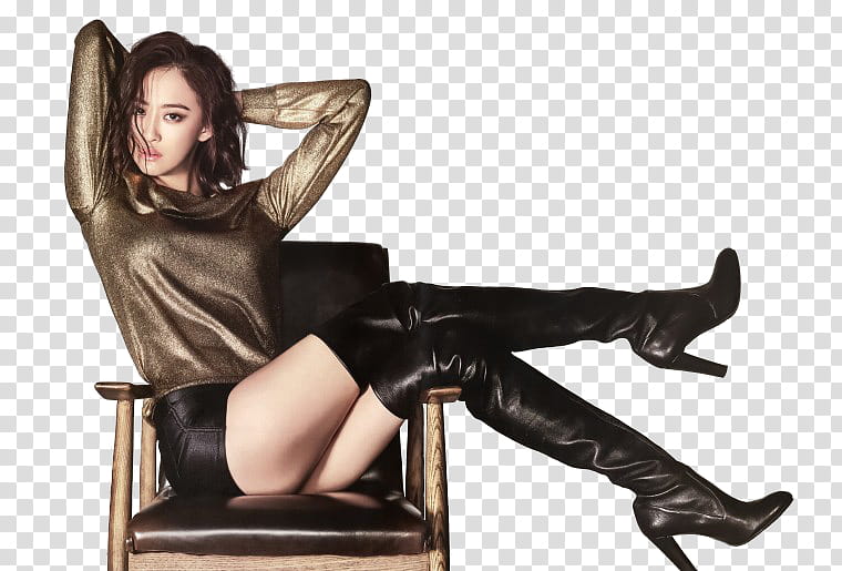 SISTAR DaSom Instyle P transparent background PNG clipart