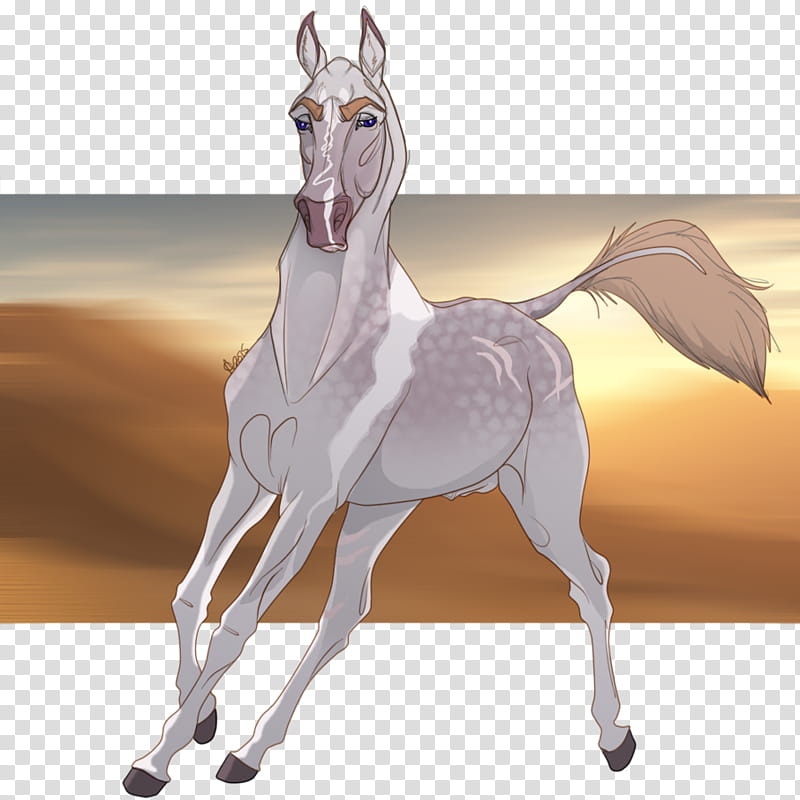 Darius, Prince of the sands transparent background PNG clipart