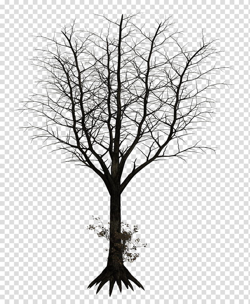 Dark Trees , black leafless tree illustration transparent background PNG clipart