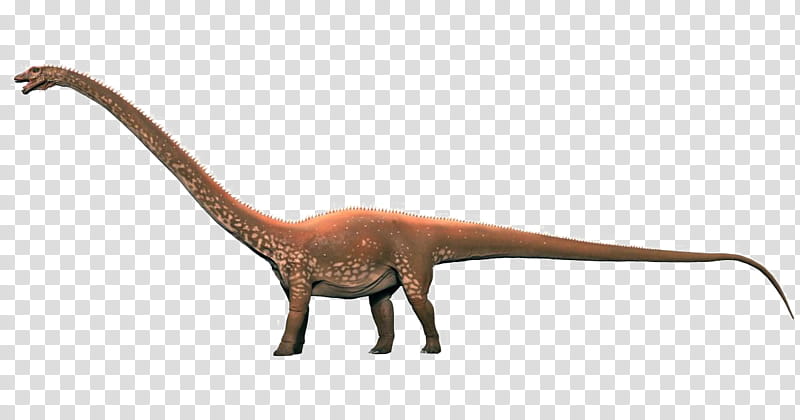 Velociraptor, Diplodocus, Brachiosaurus, Brontosaurus, Stegosaurus, Barosaurus, Dinosaur Size, Sauropods transparent background PNG clipart