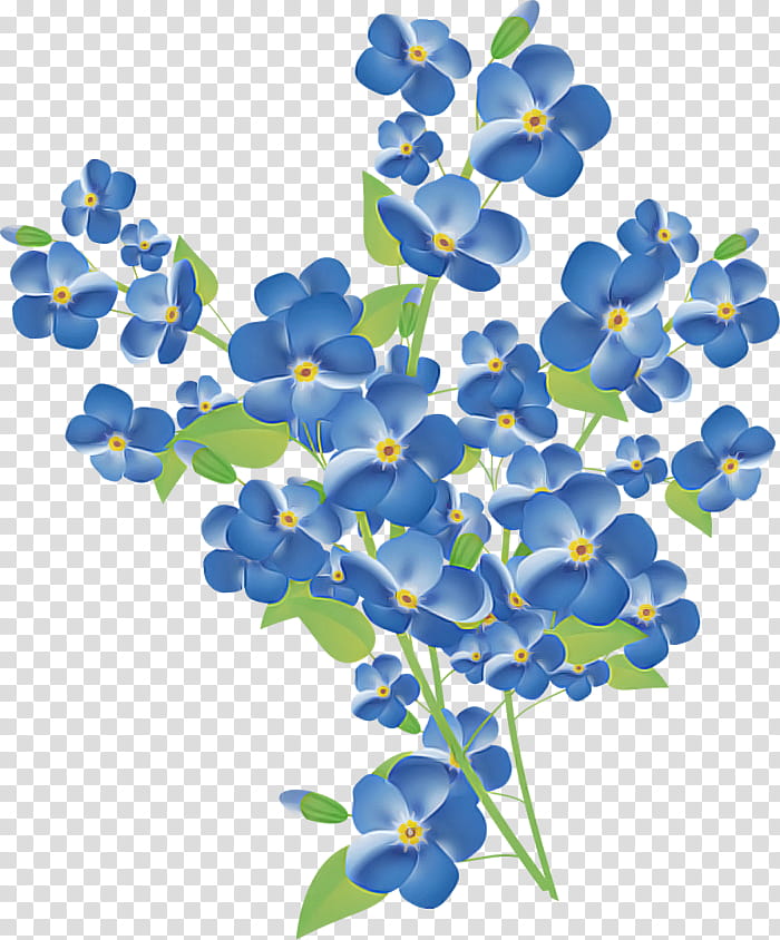 blue flower plant petal borage family, Bluebonnet, Wildflower transparent background PNG clipart