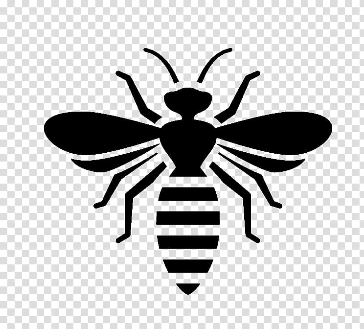 Bee, Insect, Hornet, Wasp, Pest Control, Characteristics Of Common Wasps And Bees, Hymenopterans, Bee Removal transparent background PNG clipart