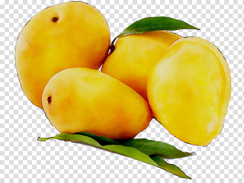 hapus mango tree wallpaper