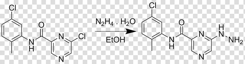 Tree Symbol, Sorafenib, Camps Quinoline Synthesis, Chemistry, 4nitroaniline, Reactive Oxygen Species, Chemical Synthesis, Succinylcoa transparent background PNG clipart