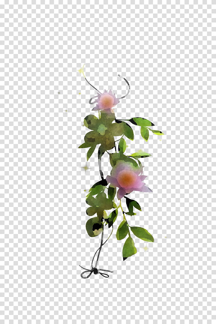 Artificial flower, Plant, Branch, Rose Family, Rosa Rubiginosa, Rosa Dumalis, Prickly Rose transparent background PNG clipart
