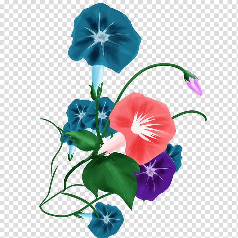 Flowers, Japanese Morning Glory, Annual Plant, Plant Stem, Cut Flowers, , Brush, Bellflower Family transparent background PNG clipart