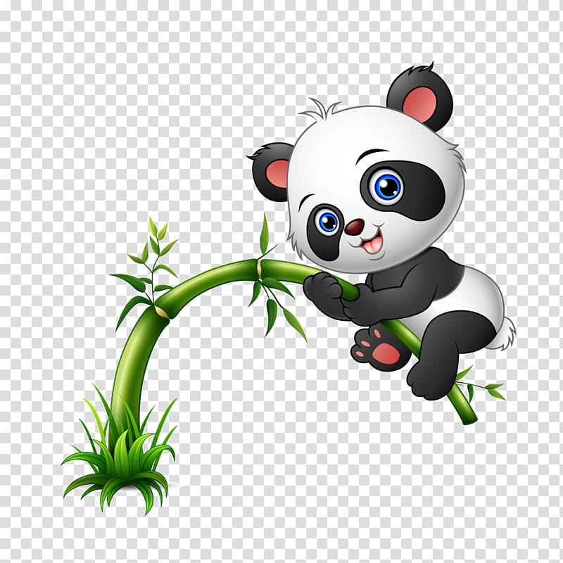 Bear, Giant Panda, Cuteness, Cartoon, Infant, Fotolia, Drawing, Animation transparent background PNG clipart