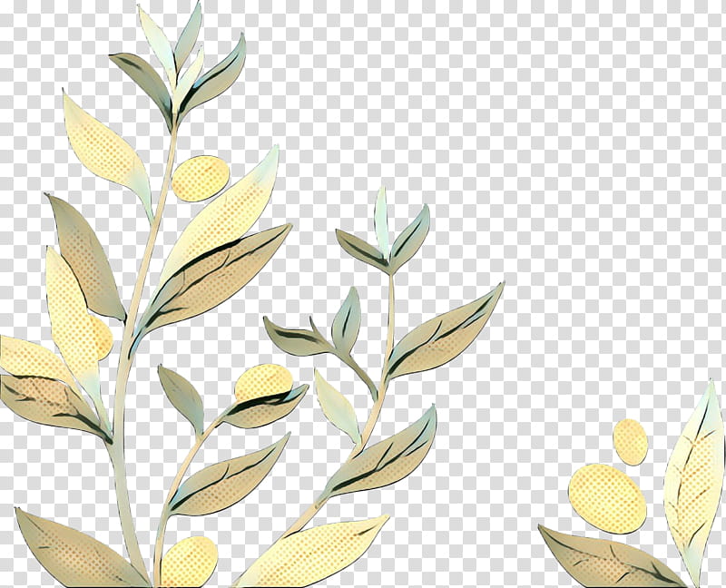 Olive Tree, Olive Oil, Olive Leaf, Tablespoon, Tunisian Cuisine, Olive Branch, Anise, Plant transparent background PNG clipart