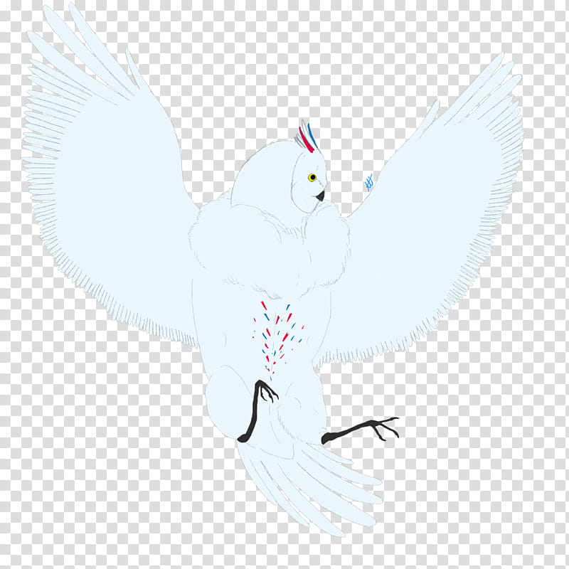 Feather, White, Wing, Snowy Owl, Bird, Tail, Beak, Fictional Character transparent background PNG clipart