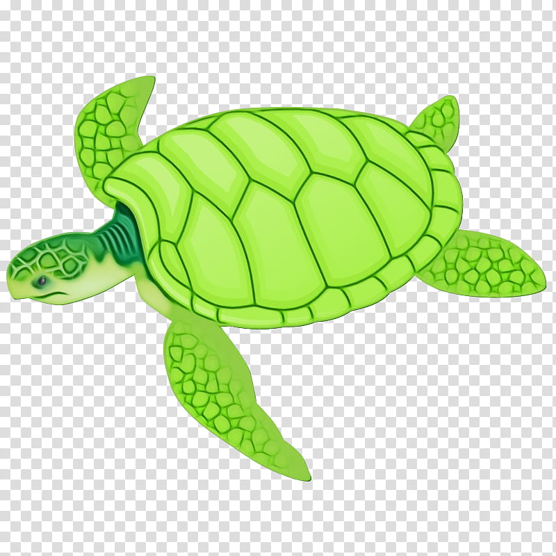 sea turtle green green sea turtle turtle tortoise, Watercolor, Paint, Wet Ink, Kemps Ridley Sea Turtle, Olive Ridley Sea Turtle, Pond Turtle, Reptile transparent background PNG clipart