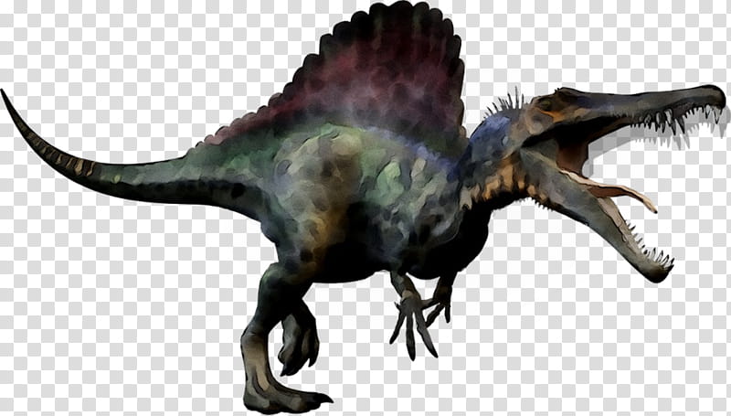 Dinosaur, Spinosaurus, Tyrannosaurus, Carcharodontosaurus, Giganotosaurus, Dinosaur Size, Triceratops, Kaprosuchus transparent background PNG clipart