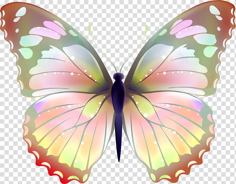 brown and gray butterfly illustration transparent background PNG clipart