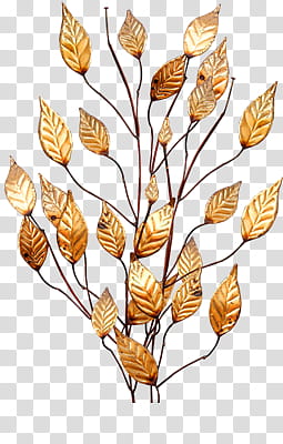 Leaves and flowers , brown leaf home decor transparent background PNG clipart