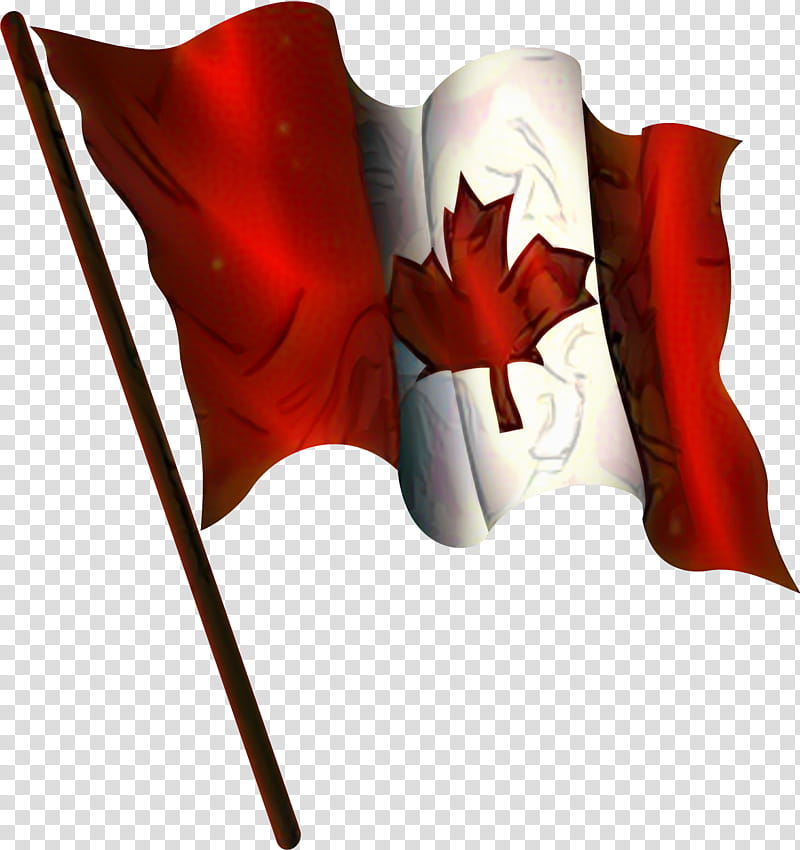 Canada Day, Flag Of Canada, Flag Of Aruba, Flag Of Saint Vincent And The Grenadines, Red, Leaf, Tree, Plant transparent background PNG clipart