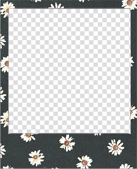 Polaroids , rectangular white, black, and brown floral border transparent background PNG clipart