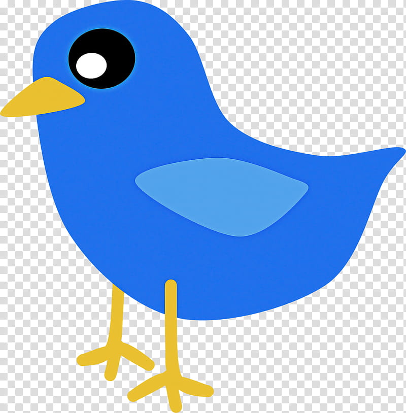 bird beak songbird perching bird bluebird transparent background PNG clipart