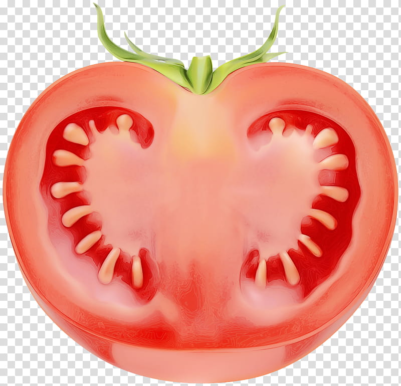 Tomato, Watercolor, Paint, Wet Ink, Solanum, Vegetable, Fruit, Plant transparent background PNG clipart