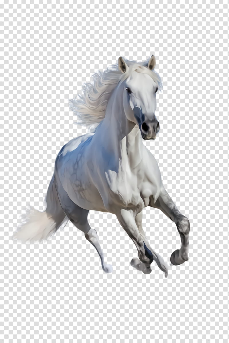 horse animal figure stallion mustang horse mane, Mare, Pony, Sorrel transparent background PNG clipart