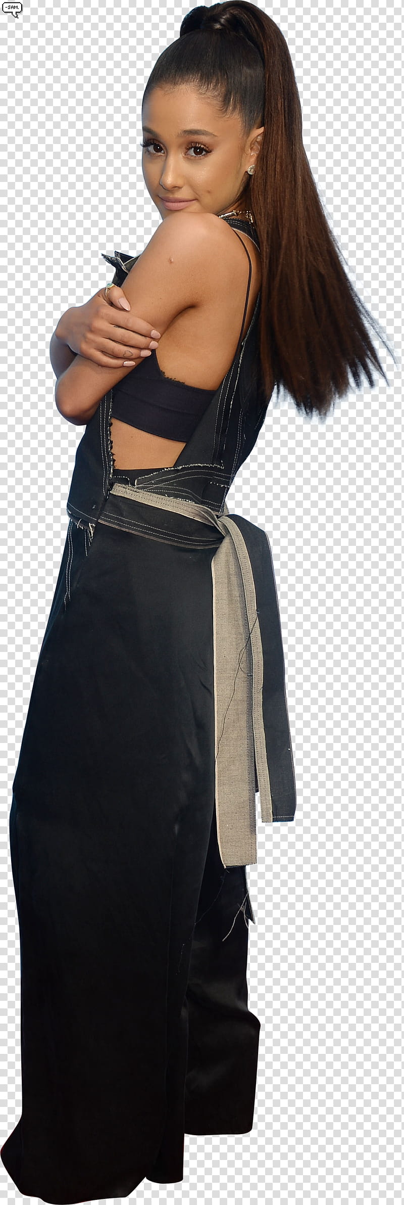 Ariana Grande ,,SAM () transparent background PNG clipart Ariana Grande ,,SAM () transparent background PNG clipart