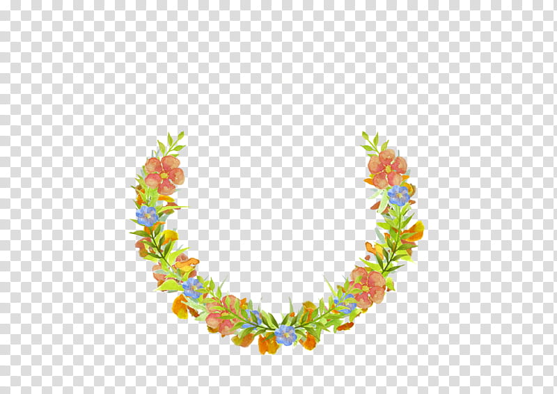 Morning glory, orange flowers illustration transparent background PNG clipart