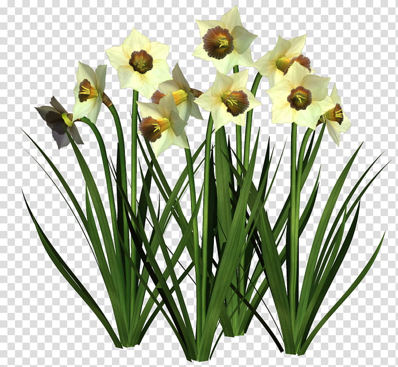 Various Flowers , yellow-petaled flowers transparent background PNG clipart