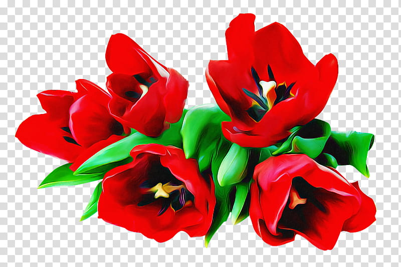 Artificial flower, Red, Petal, Plant, Tulip, Lily Family, Cut Flowers, Hippeastrum transparent background PNG clipart