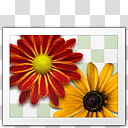 VINI AERO COLECTION, file icon transparent background PNG clipart