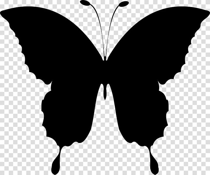 Butterfly Black And White, Insect, Drawing, Monarch Butterfly, Line Art, Moths And Butterflies, Blackandwhite, Swallowtail Butterfly transparent background PNG clipart