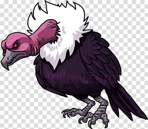 Vulture, vulture illustration transparent background PNG clipart