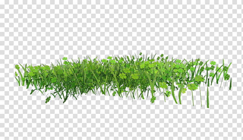 D Spring Grass, green grass field transparent background PNG clipart