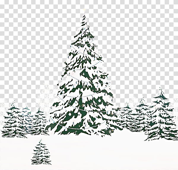 Christmas Black And White, Christmas Tree, Fir, Sitka Spruce, Larch, Painting, Sugar Pine, Shortleaf Black Spruce transparent background PNG clipart