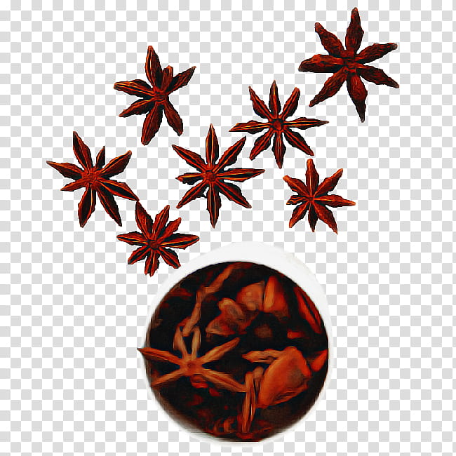 Star, Spice, Flavor, Leaf, Star Anise, Plant, Flower, Sweet Gum transparent background PNG clipart