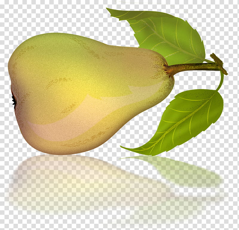 Pears , yellow pear fruit illustration transparent background PNG clipart