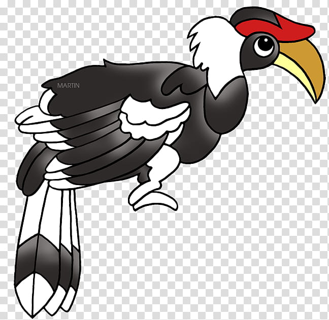 Hornbill Bird, Rooster, Chicken, Beak, Bird Of Prey, Feather, Character, Pet transparent background PNG clipart
