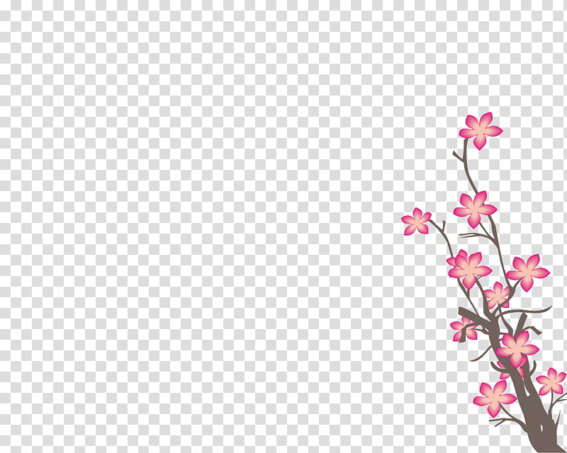 Sakura Flower, pink-petaled flowers transparent background PNG clipart