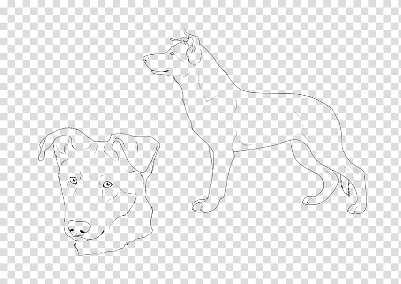 Free GSD pup lineart, dog illustration transparent background PNG clipart