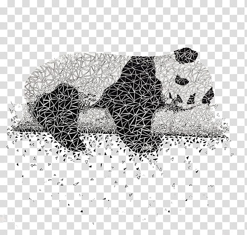 Art , panda illustration transparent background PNG clipart