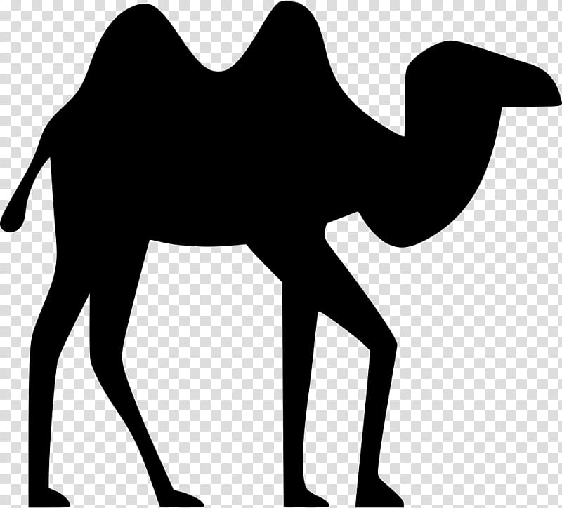 Tree Silhouette, Dromedary, Camel, Black And White
, Camel Like Mammal, Arabian Camel, Wildlife, Line transparent background PNG clipart