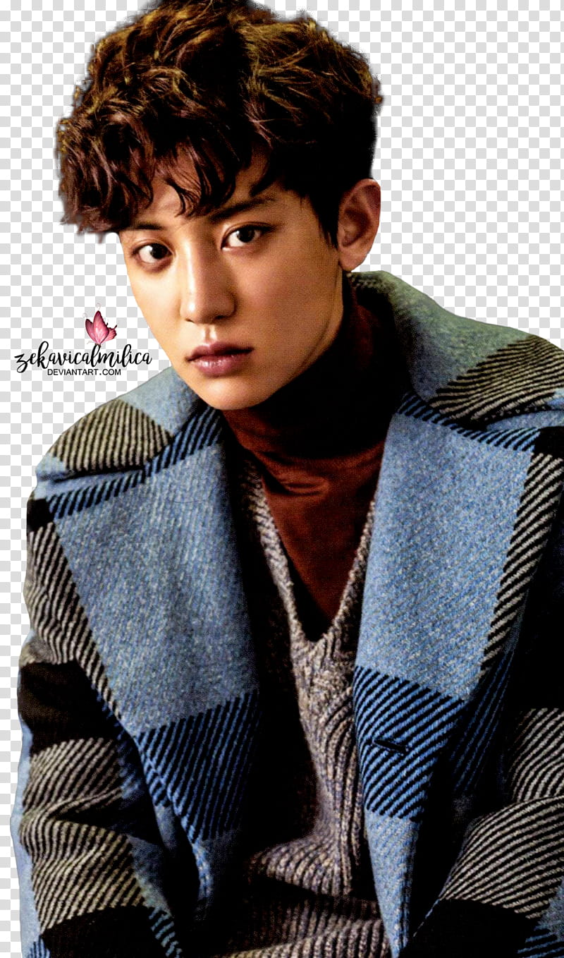 EXO Chanyeol For Life, man in black and blue plaid coat transparent background PNG clipart