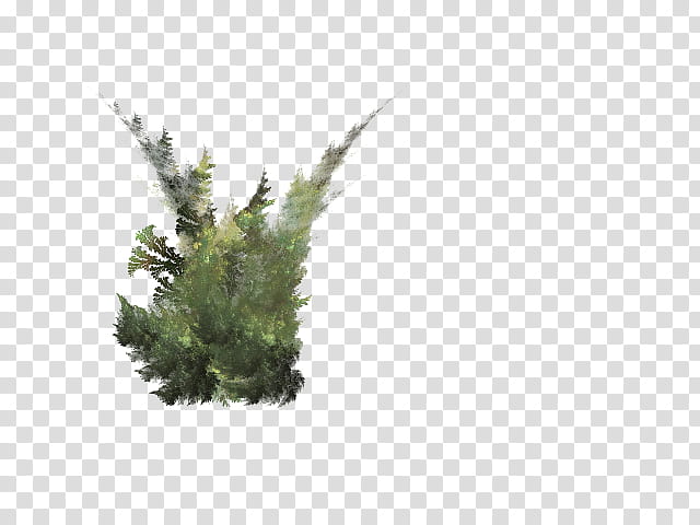 Aquatic Plants in, green bush transparent background PNG clipart