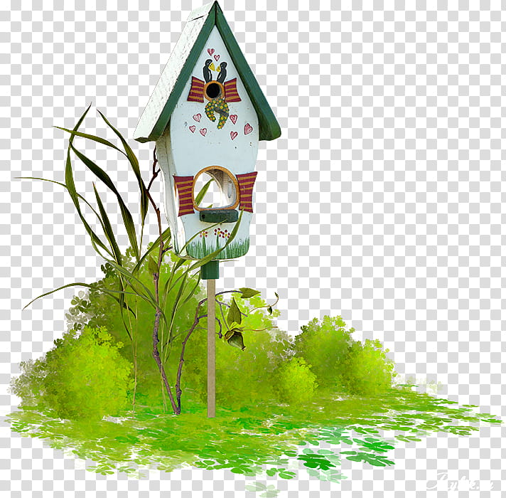 Green Grass, Bird, Bird Houses, Bird Nest, Birdcage, Cartoon, Animal, Tree transparent background PNG clipart