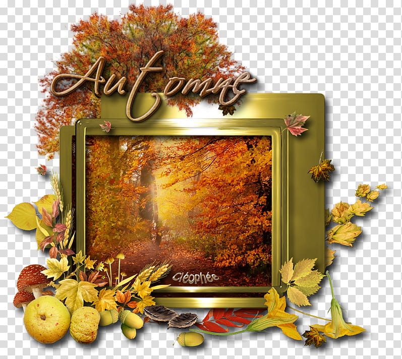Thanksgiving Day Autumn, Logos, Leaf, Saturday, Thought, Frames, East, Sleep transparent background PNG clipart